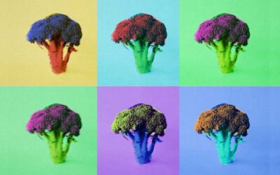 La Antropología y el buen gusto