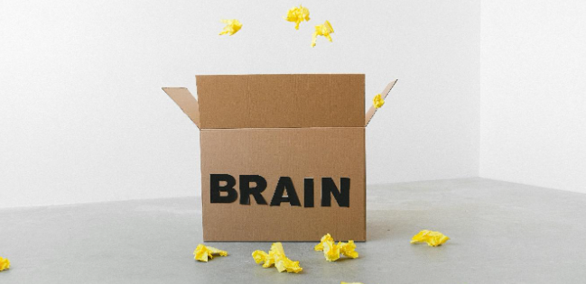 Neurociencia y Mercadeo - Roberto Guarnieri