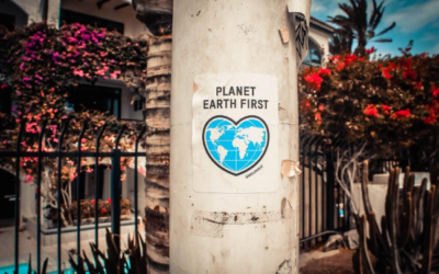 Nanonichos y el Futuro de la Sostenibilidad en Consumo: Una Conexión Auténtica con los Consumidores Eco-Conscientes