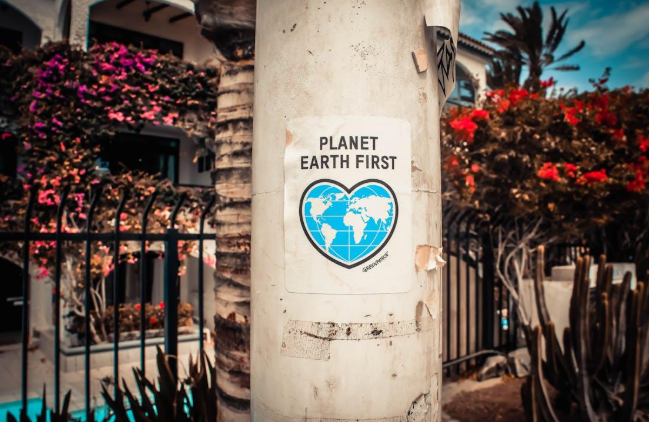 Nanonichos y el Futuro de la Sostenibilidad en Consumo: Una Conexión Auténtica con los Consumidores Eco-Conscientes